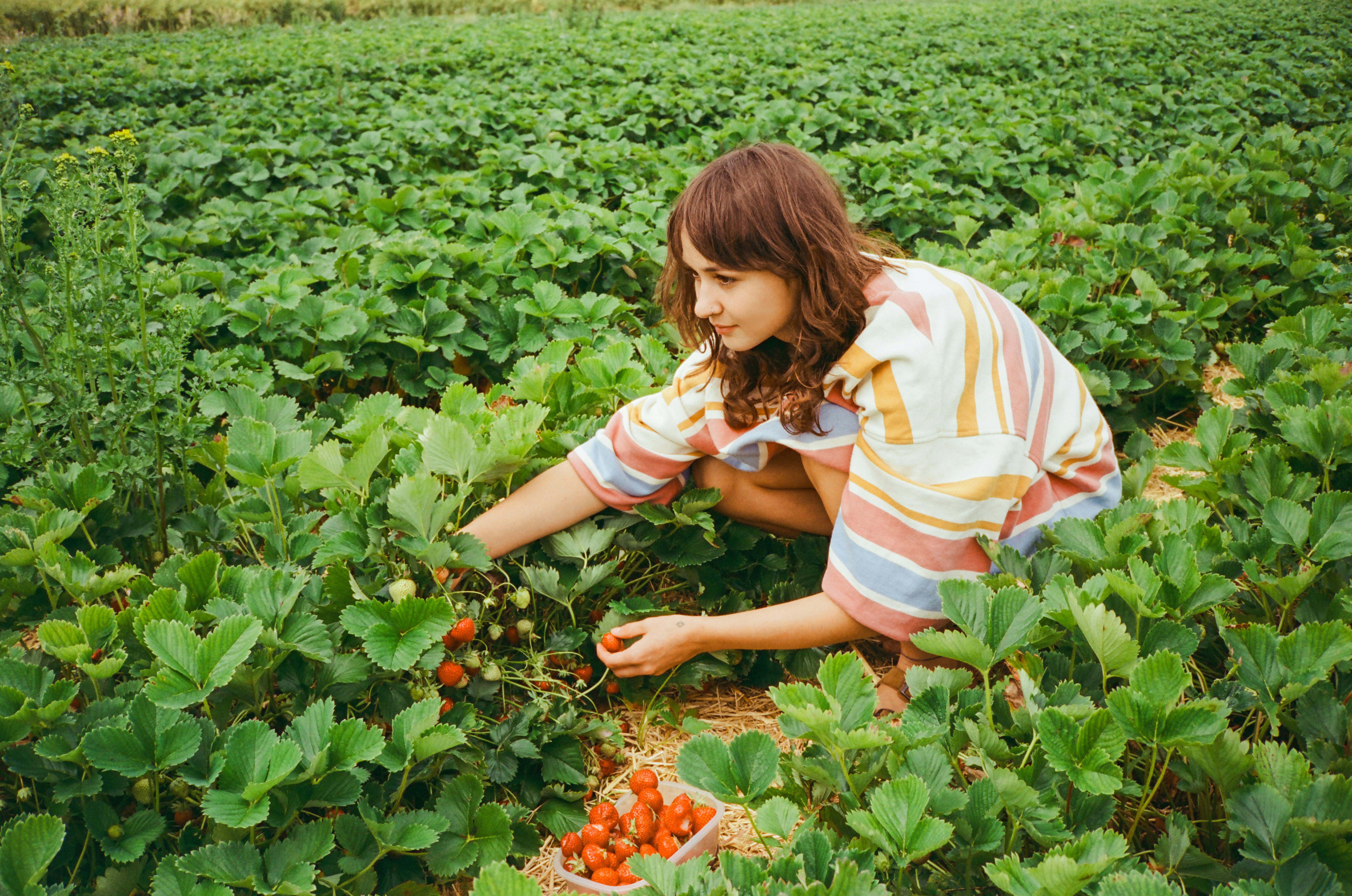 The spiritual meaning of the June full moon.