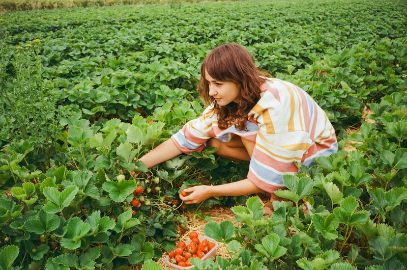 Spiritual meaning of June's full moon.