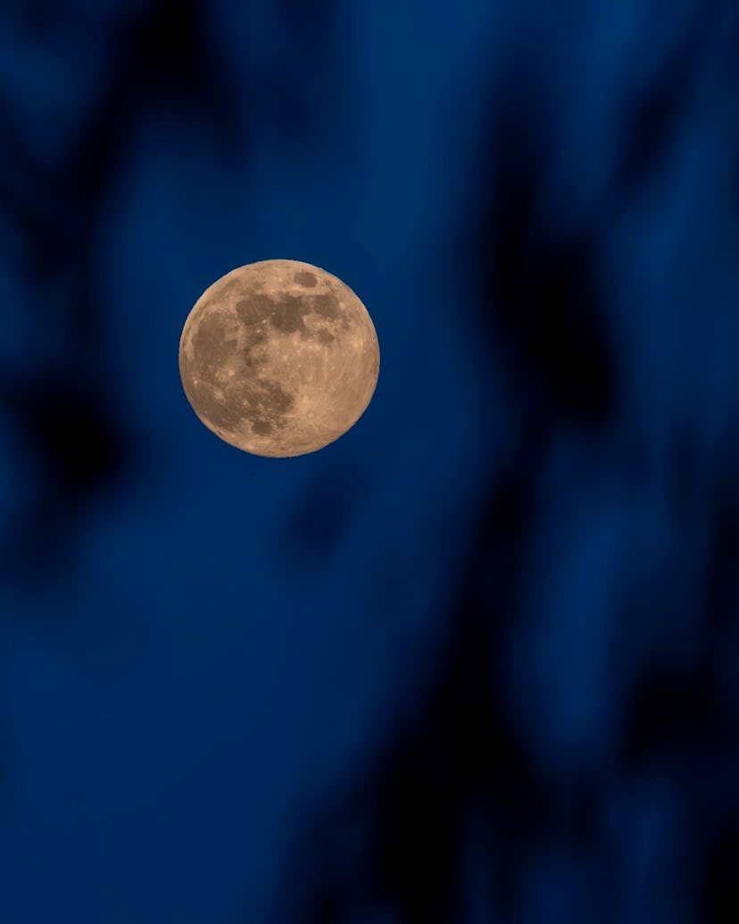 Manifest under the June full moon.