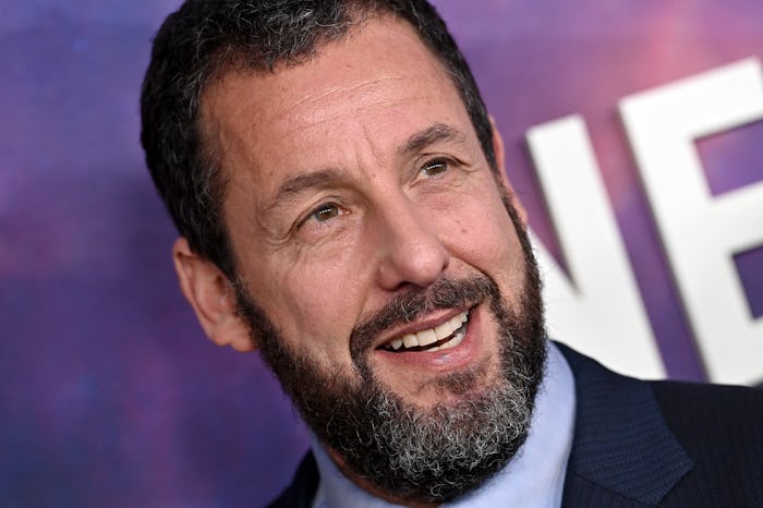 LOS ANGELES, CALIFORNIA - FEBRUARY 26: Adam Sandler attends the Photocall for Netflix's "Spaceman" a...
