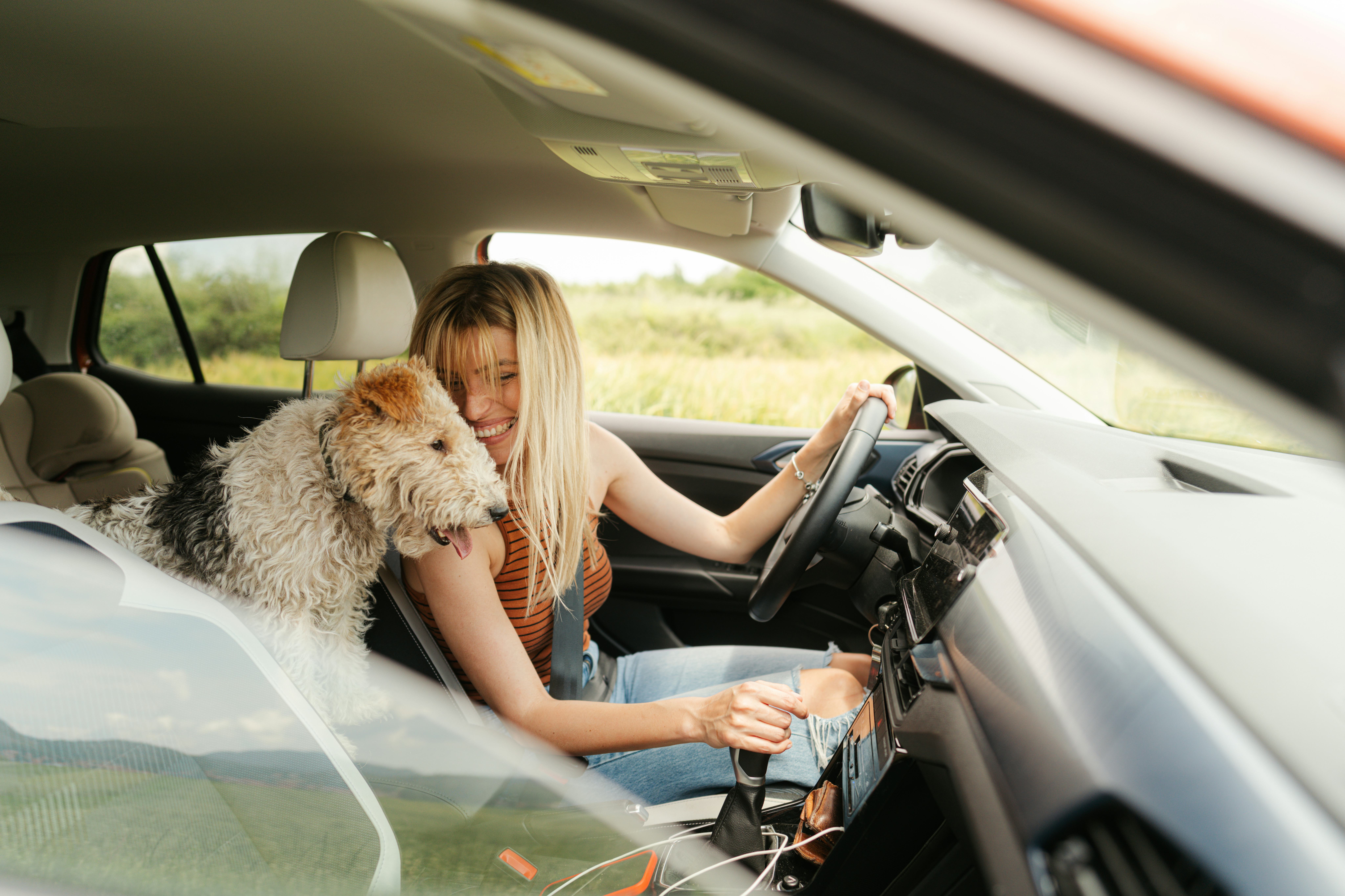 A young woman driving her car with her dog and learning fun animal facts.