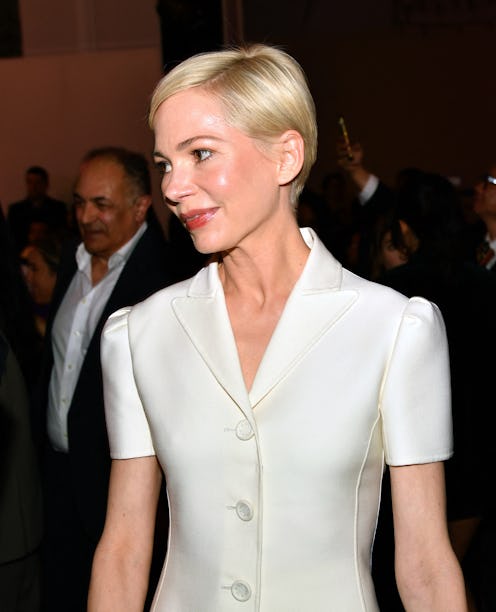 Michelle Williams Dior pre-fall fashion show Brooklyn Museum New York