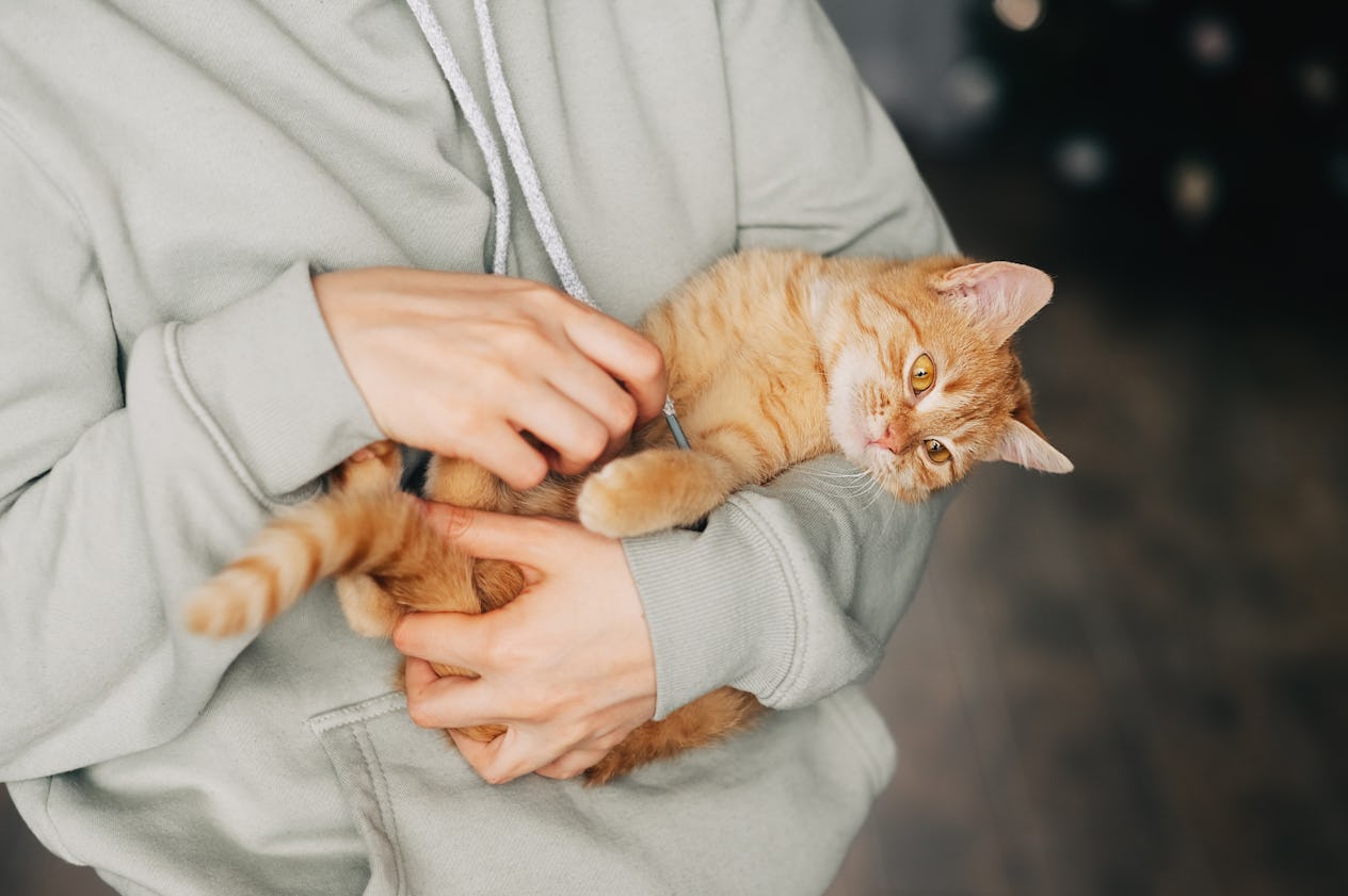 The 48 Best Opening Lines For Hinge That Spark Conversations