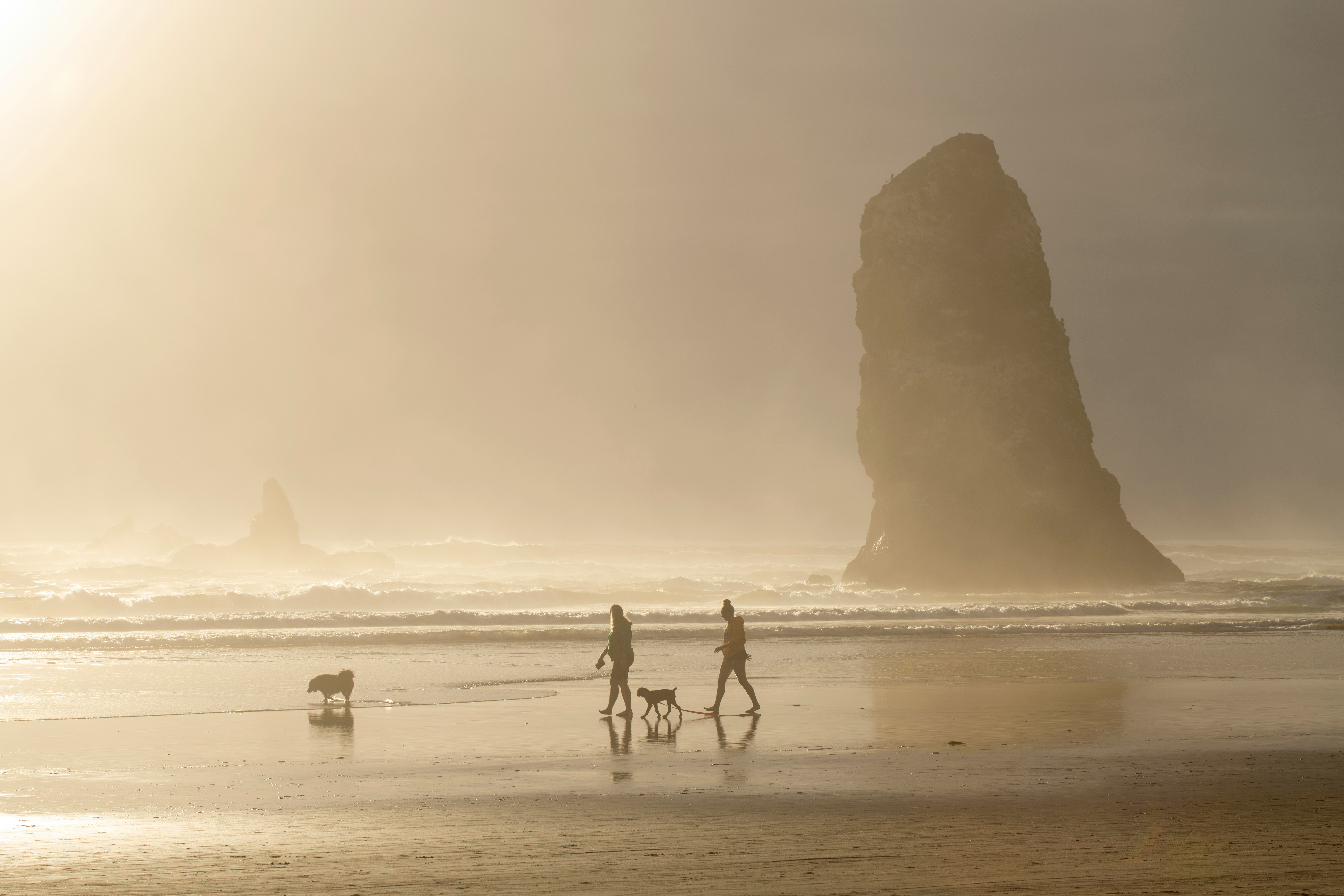 Two young woman and their dogs walk at Cannon Beach, Oregon.