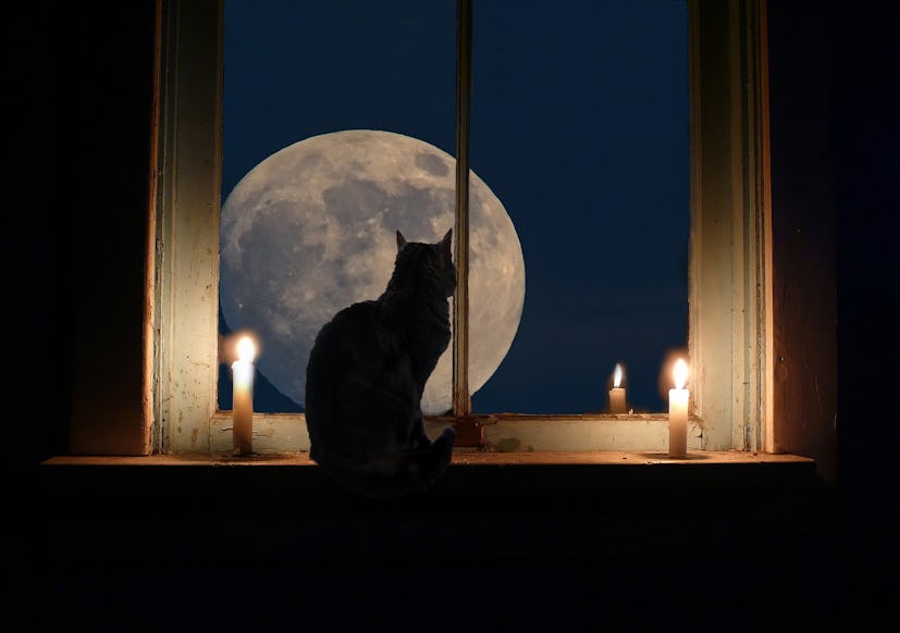 A black cat sitting in a windowsill between two taper candles looking at the full moon.