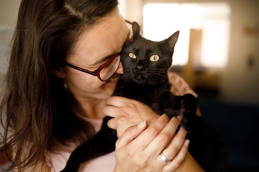A black female cat being snuggled by her owner.