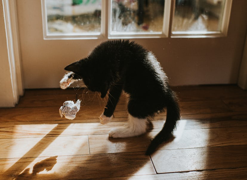 A black and white kitten plays with a crumpled ball of paper in front of a window.