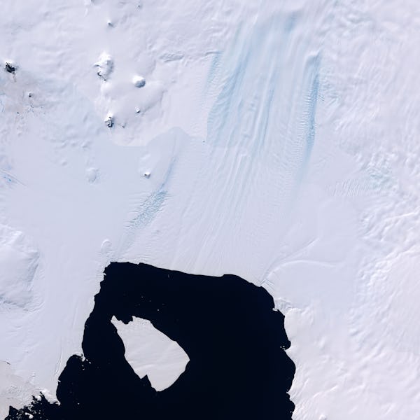 Satellite view of an icy landscape showing dark open water surrounded by white snow with distinct te...
