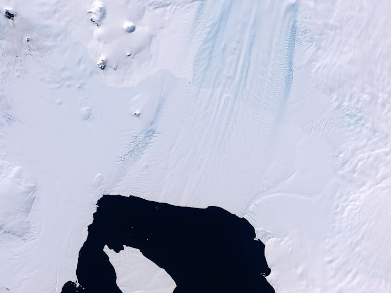 Satellite view of an icy landscape showing dark open water surrounded by white snow with distinct te...