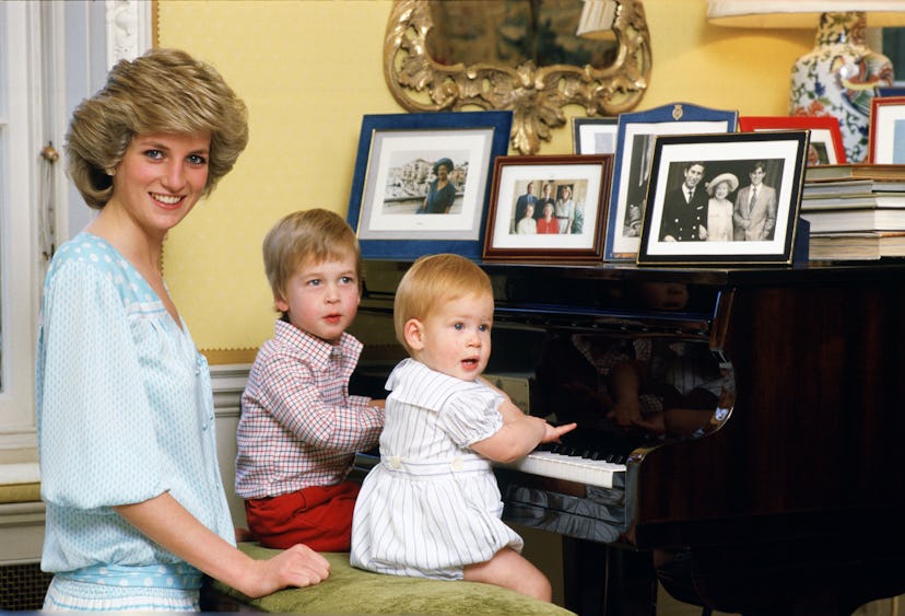 UNITED KINGDOM - OCTOBER 04:  Diana, Princess of Wales with her sons, Prince William and Prince Harr...