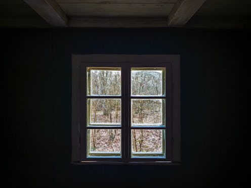A forest seen through a window in an abandoned house.