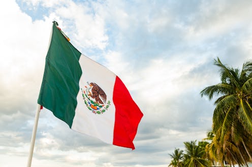 In Playa del Carmen, Mexico a large flag waves against an overcast sky with palm trees in the backgr...