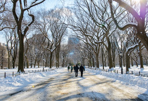 People walking in The Mall in Central Park in winter, New York City