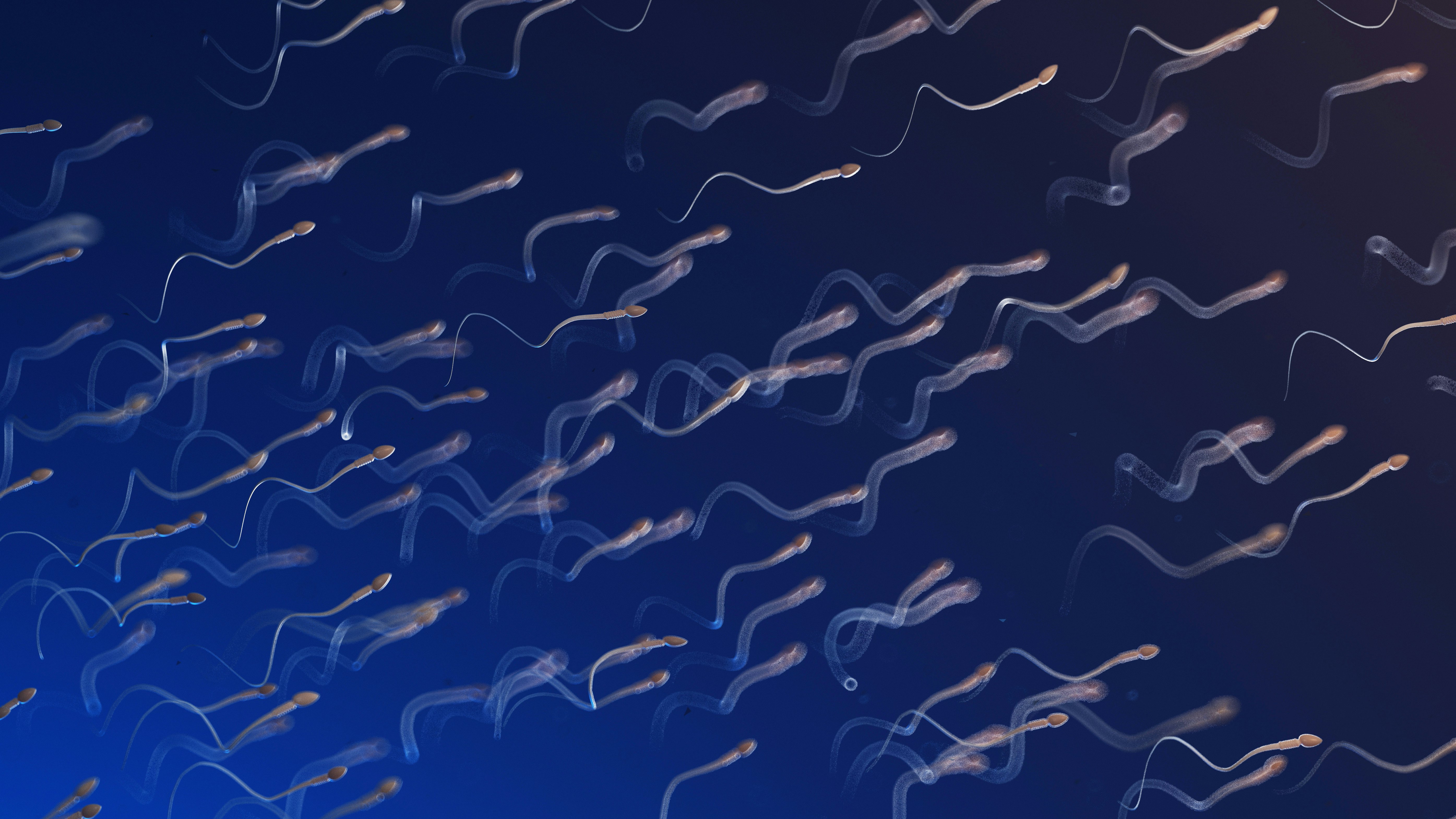 A Brand New Male Birth Control Worked Astonishingly Well In Mice — Are Humans Next?