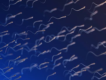 Sperm, illustration