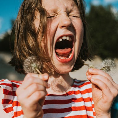 A cute young child holds several dandelions and squeals with delight. Colourful and fun image, depicting youth, springtime, nature, outdoors and childhood.