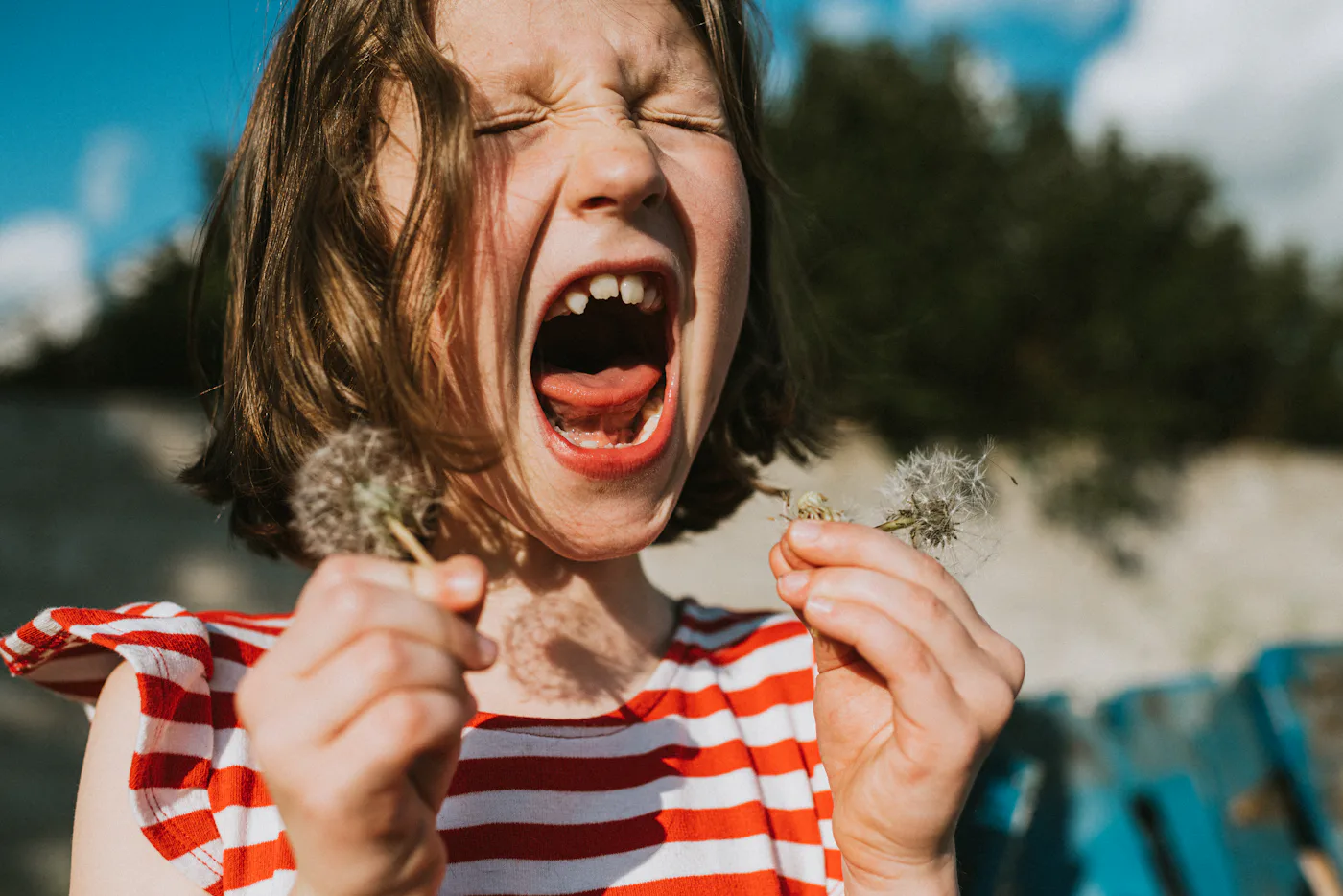 A cute young child holds several dandelions and squeals with delight. Colourful and fun image, depicting youth, springtime, nature, outdoors and childhood.