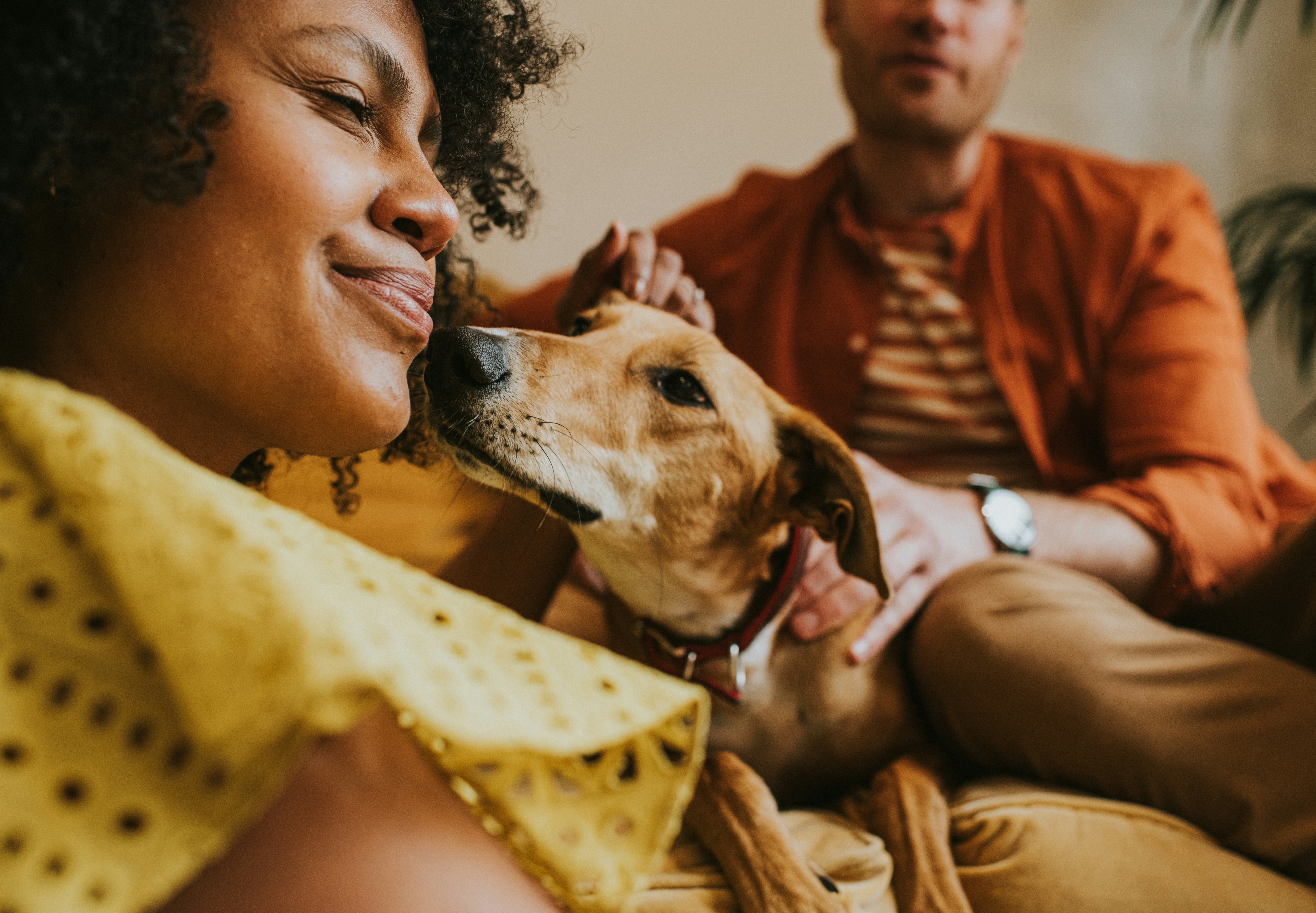 A couple asking each other most likely to questions about animals as they sit on the couch with thei&hellip;