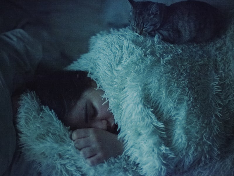 Young woman sleeping with cat in bed at night