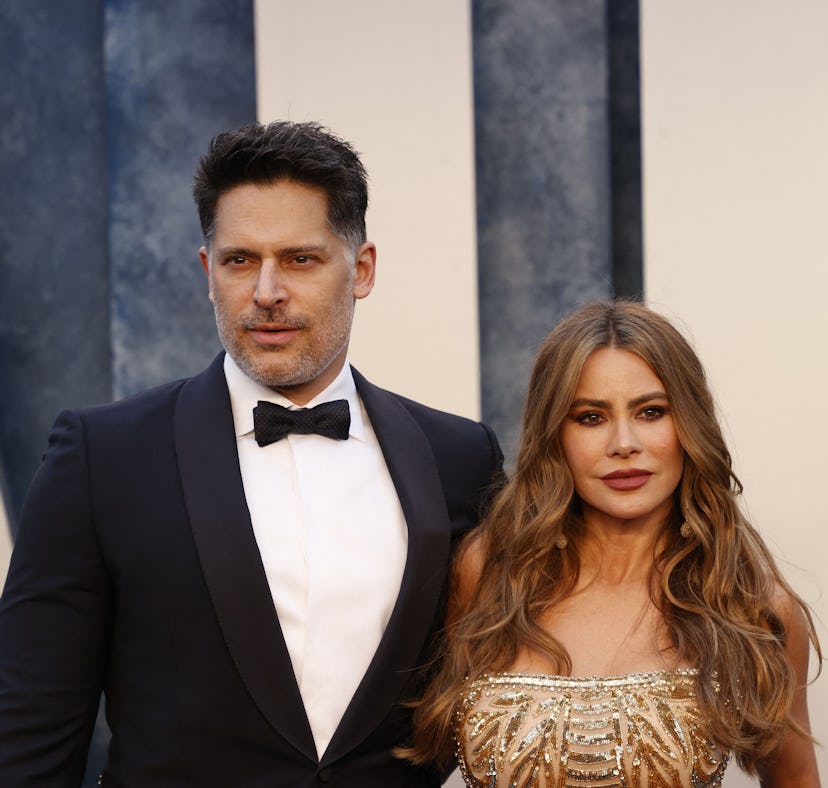 Joe Manganiello denied Sofia Vergara's claims that their divorce was caused by him wanting children.