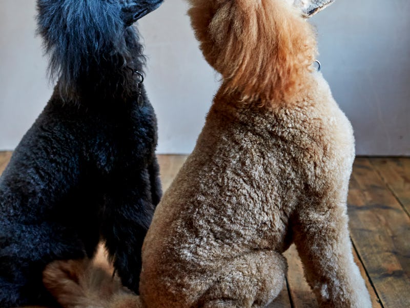 Picture shows
Taken in Harlow, Essex. UK in January 2024