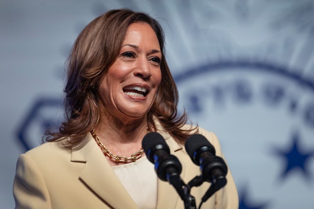 Kamala Harris would have been a great running mate for a single mom.