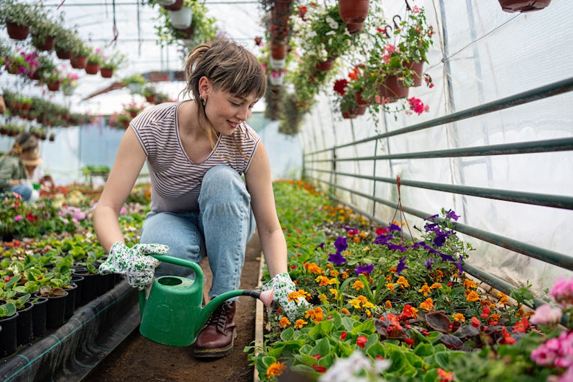 Check out these good jokes about friends, love, work, money, and food.