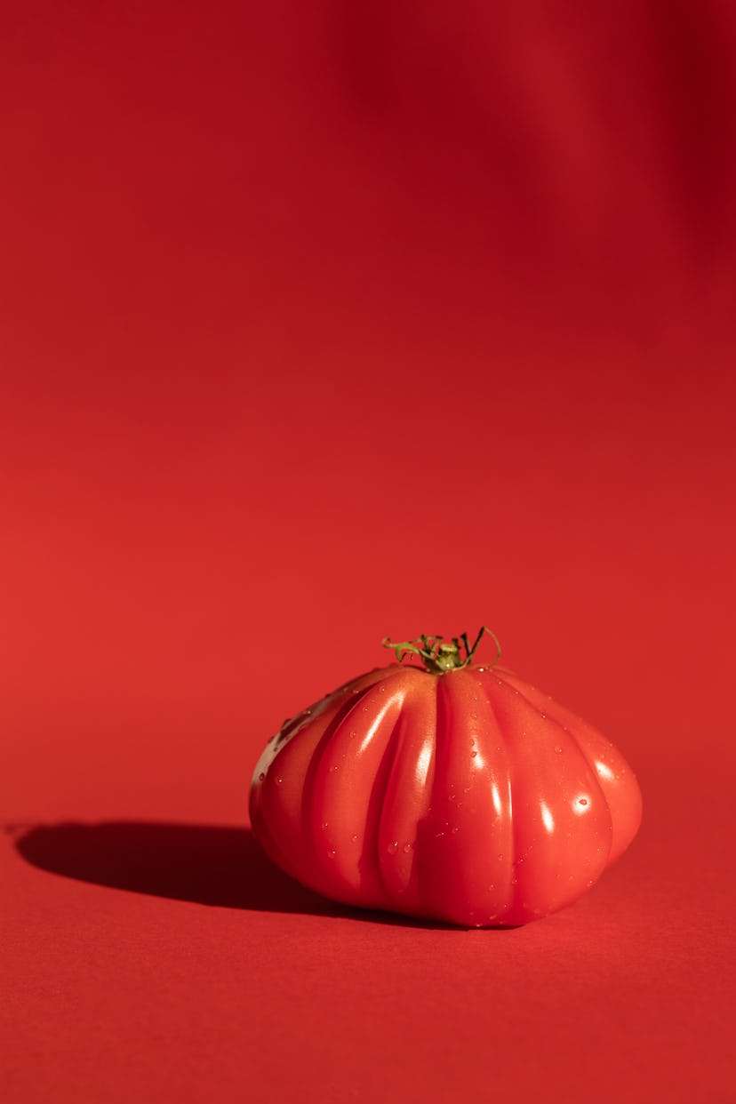 conceptual image of coeur Conceptual image of coeur de boeuf tomato on red background. Simplicity.