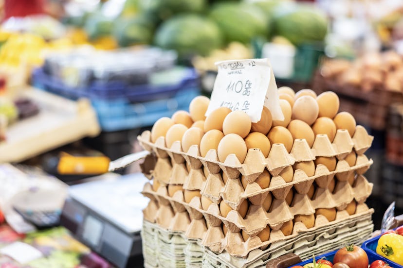 domestic chicken eggs on