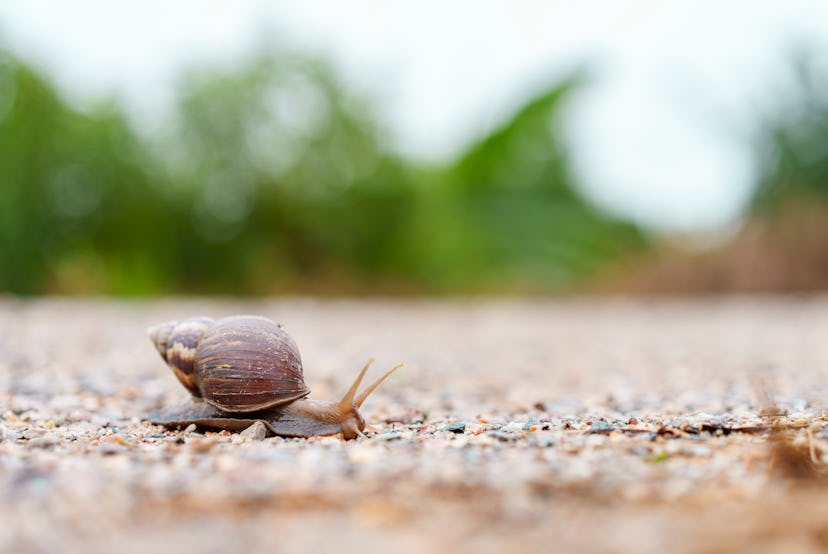 getty 1960157761 getty 1960157761