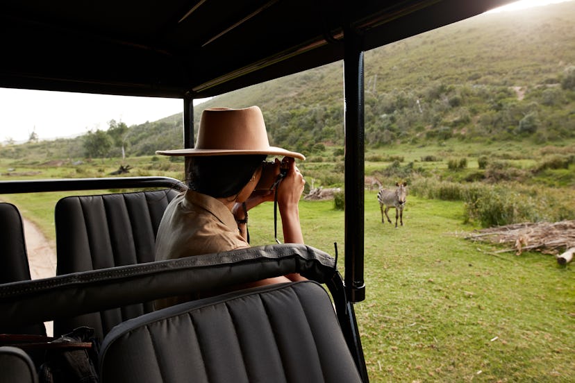 Young woman sitting in safari vehicle photographing zebra grazing on grass at national wildlife park