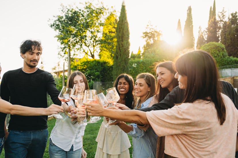 Group of friends toasting with glasses at a party in a garden at sunset