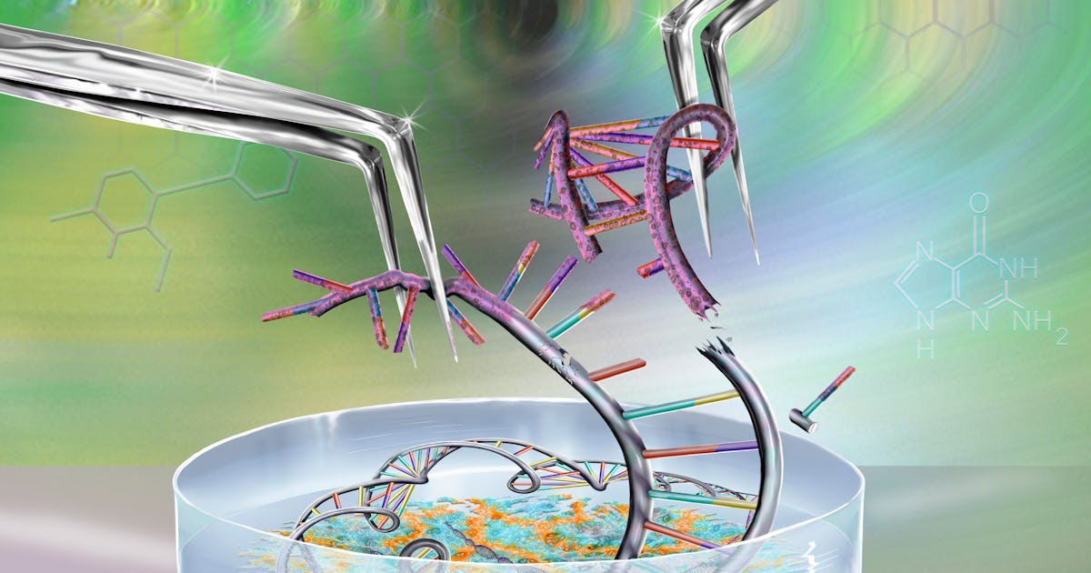 Designer Babies Are Here — So Why Aren't We Talking About It?