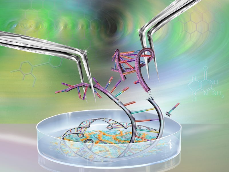Genetic engineering, conceptual illustration.