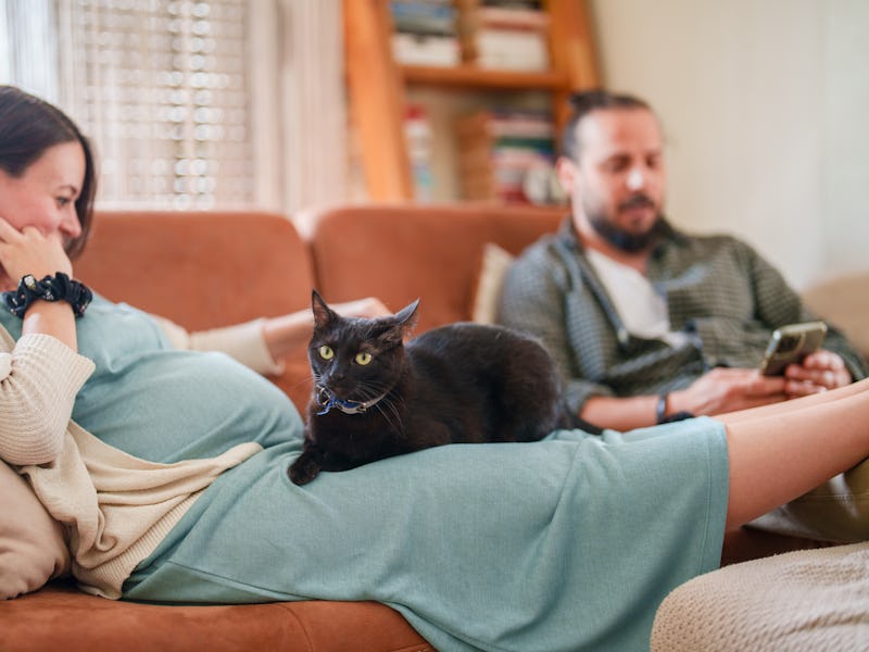 Expectant Family in living room
