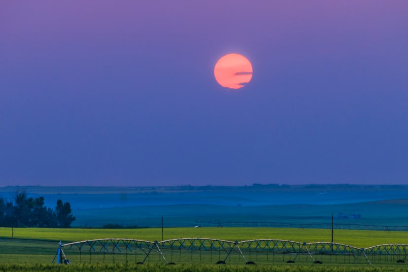 How to take advantage of the Aug. 19 full moon.
