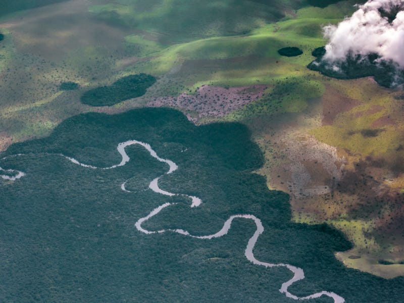 Aerial view of the congo basin,where a meandering river winds through tropical rainforest. republic ...