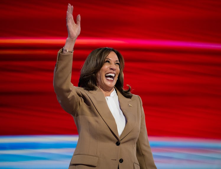Vice President Kamala Harris addresses the Democratic National Convention at the United Center in Ch...