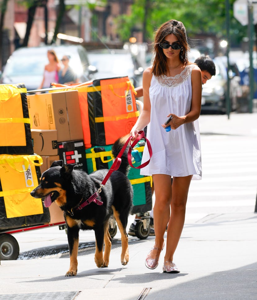 Emily Ratajkowski walks her dog on August 19, 2024 in New York City.