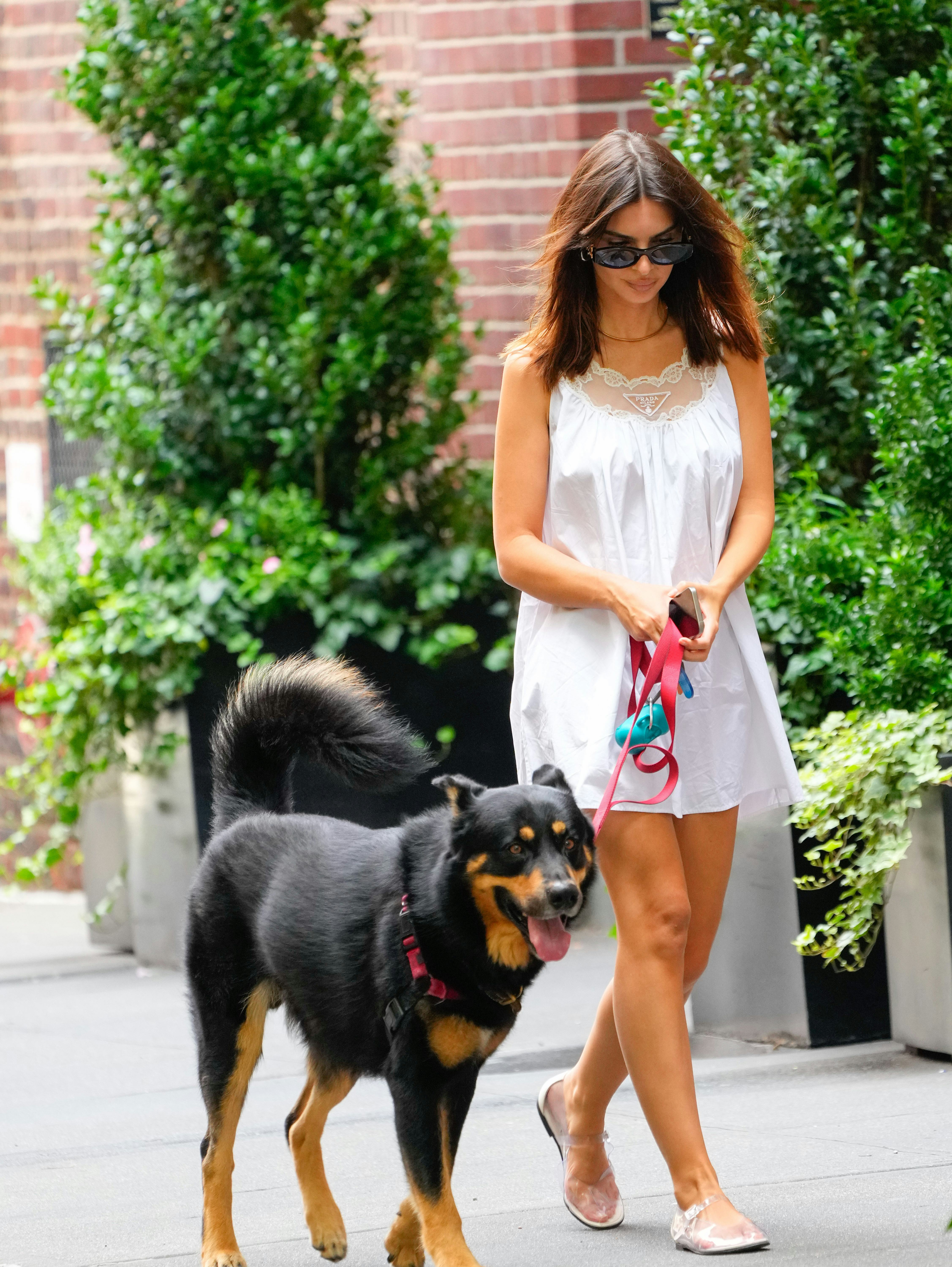 Emily Ratajkowski walks her dog on August 19, 2024 in New York City.