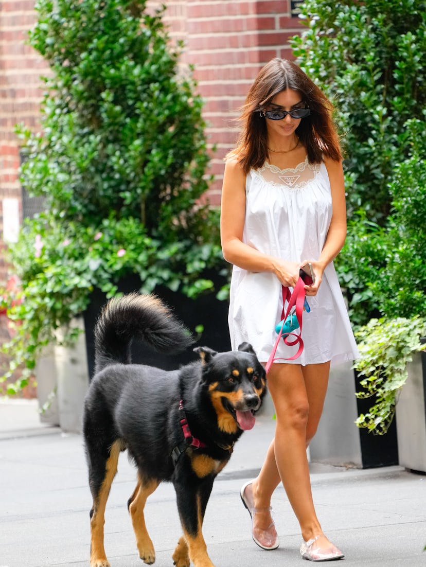 Emily Ratajkowski walks her dog on August 19, 2024 in New York City.