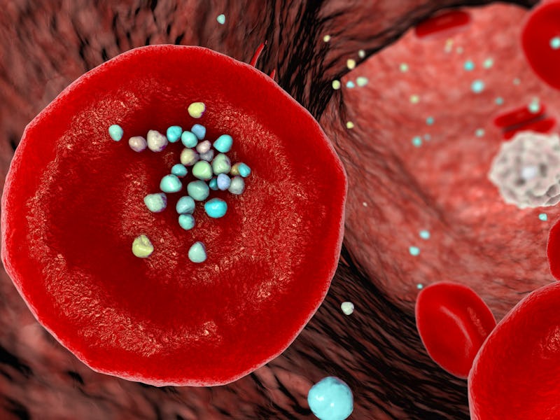 Illustration showing the interaction of erythrocytes with plastic microparticles in blood, showing p...