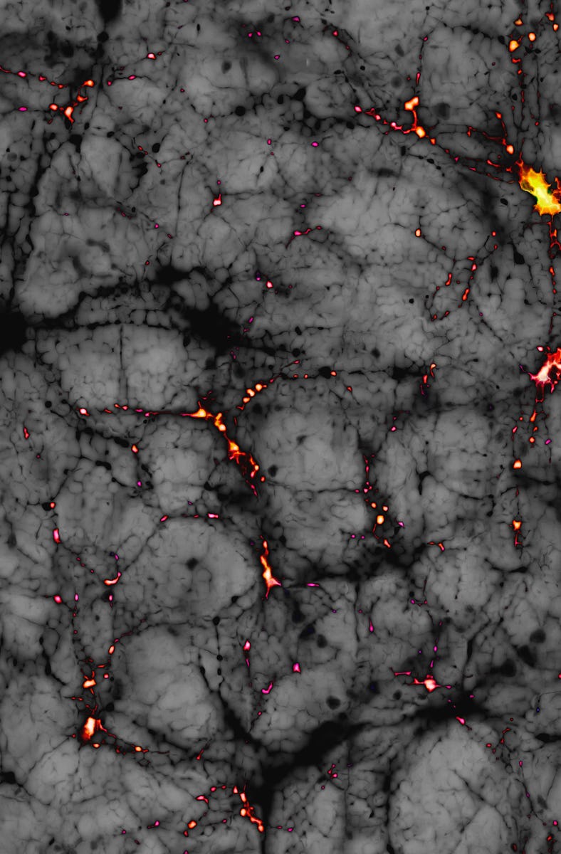 Dark matter, conceptual illustration. The image represents a region of space a few hundred megaparse...