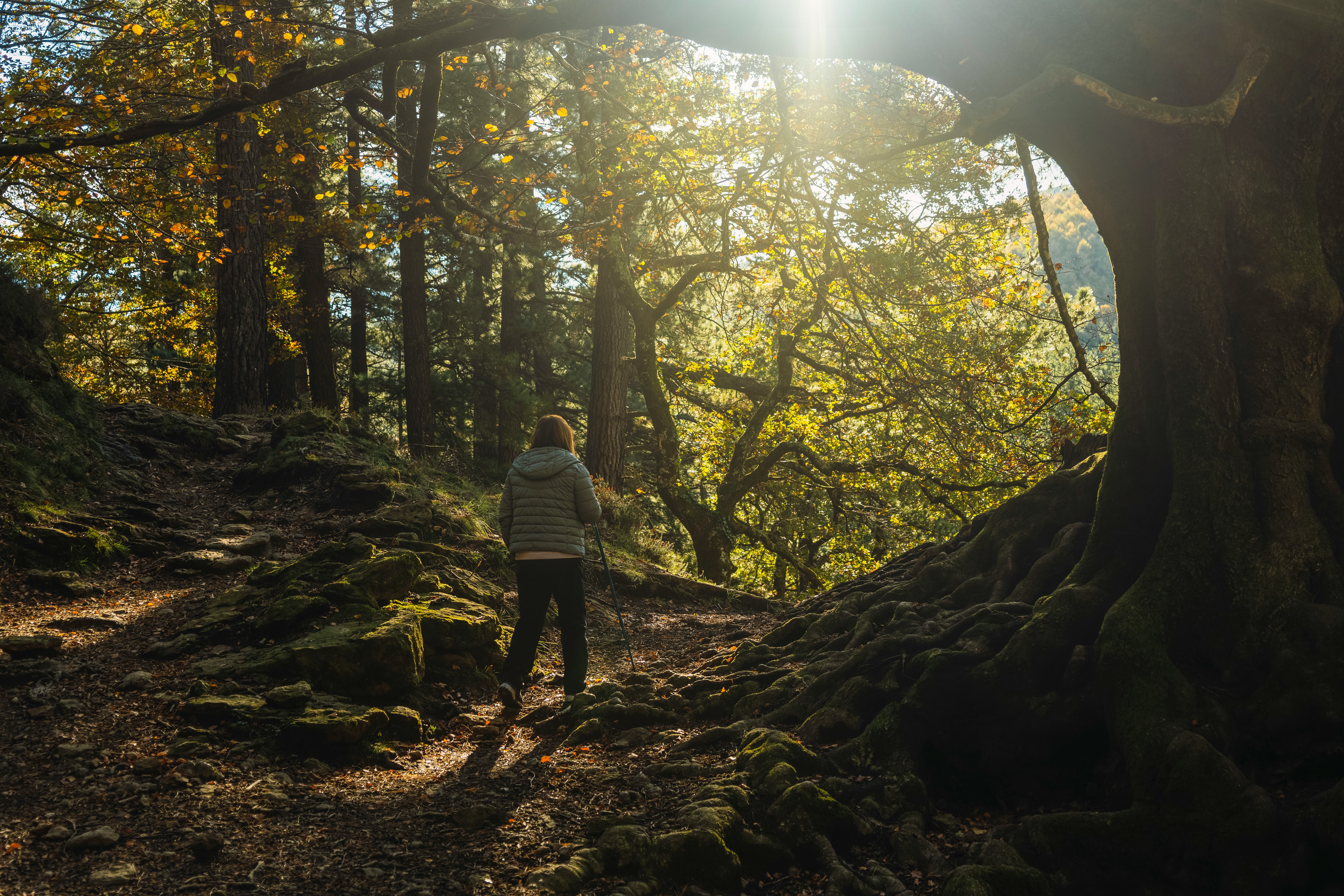 Autumnal equinox September 2024.