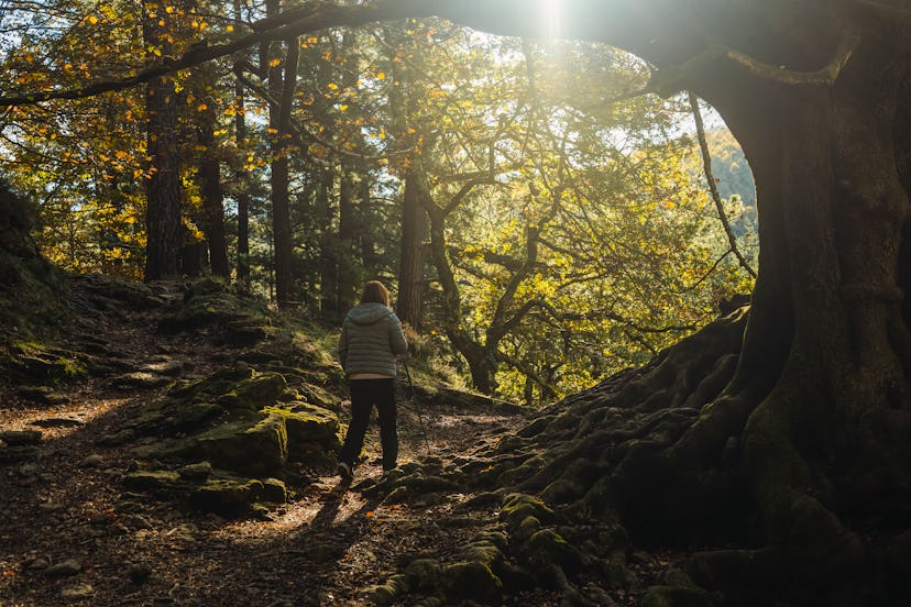 Autumnal equinox September 2024.