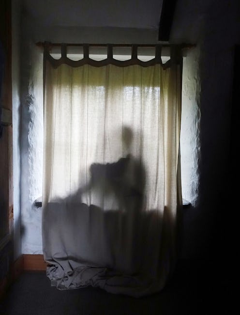 boy sits behind curtain forming silhouette