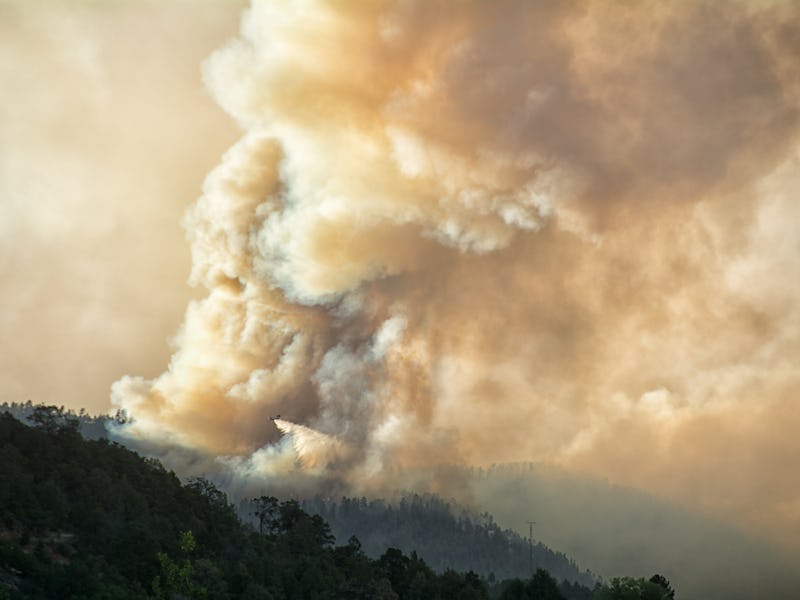 The 416 fire in Durango, Colorado, was devastating to the environment. Even though no structures we...