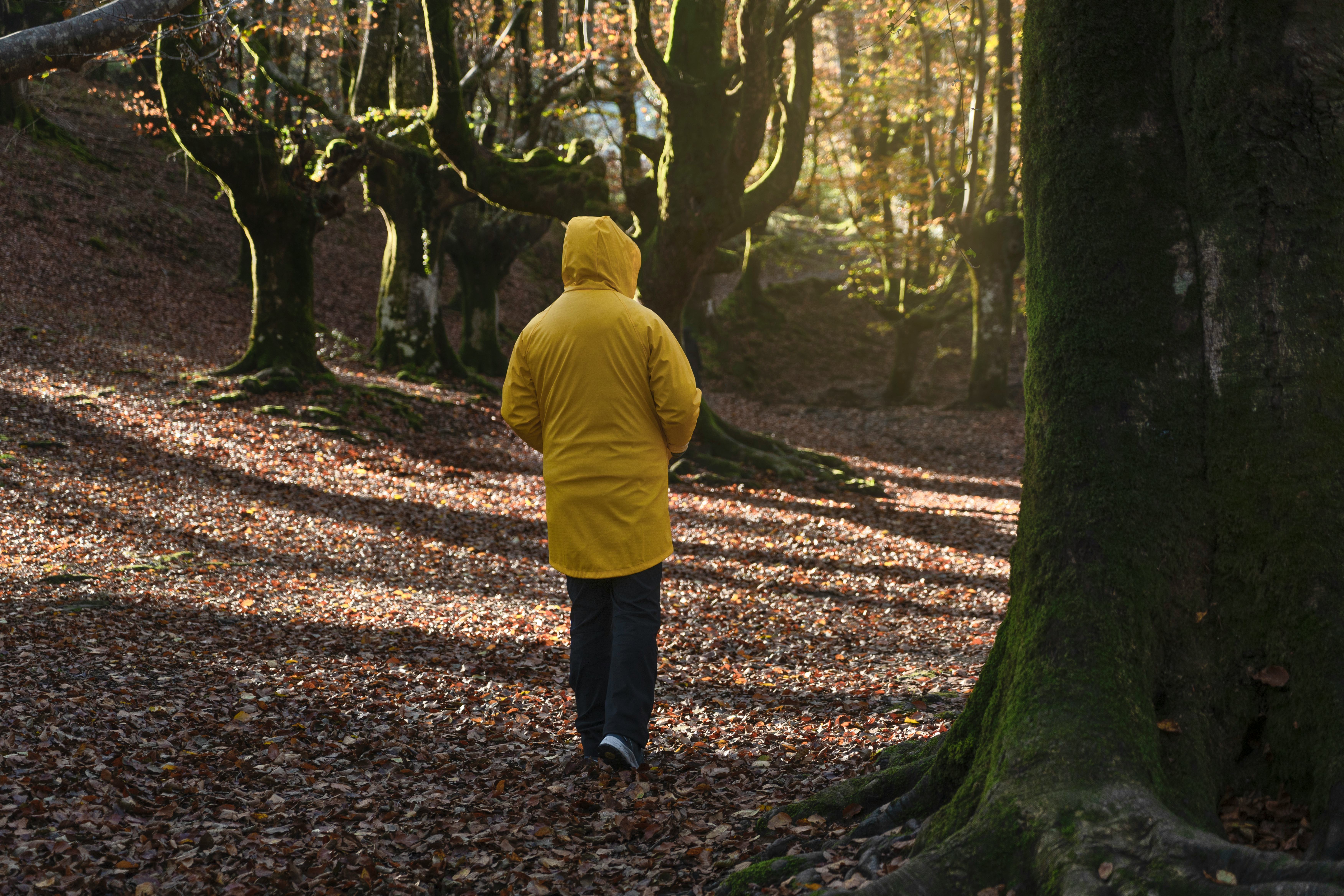 Autumn Equinox 2024’s Spiritual Meaning, Revealed