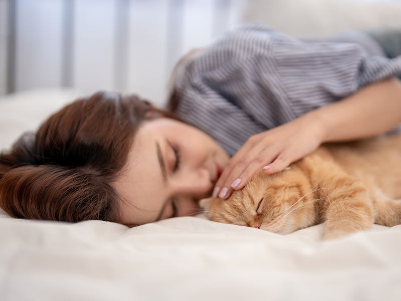 Asian beautiful woman sleeping her domestic cat with happiness in house. Attractive young female pet...