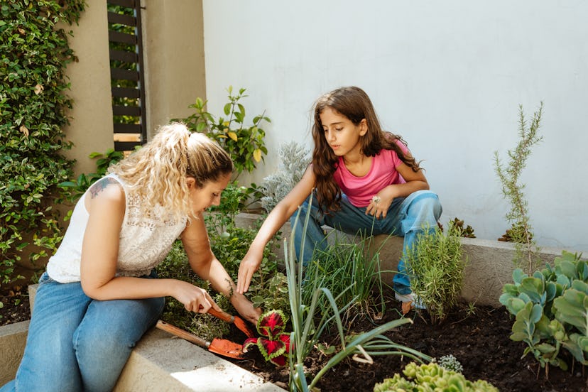 A mother and daughter bonding while gardening together in their backyard. They are planting and nurt...